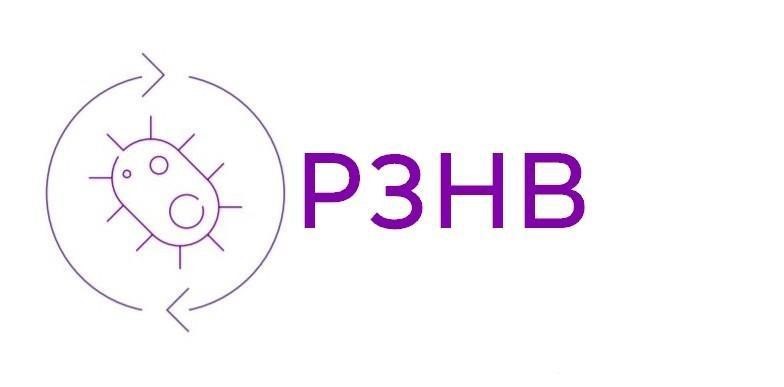 P3hby web